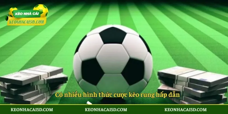 Kèo Rung Bóng Đá - 4 Kinh Nghiệm Vàng Bắt Kèo Bất Bại 3 Có nhiều hình thức cược kèo rung hấp dẫn