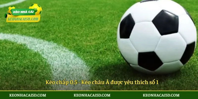 Kèo Chấp 0.5 - Cược Cực Đã, Trúng Thưởng Cực To Trên 5D 2 Kèo chấp 0.5 - Kèo châu Á được yêu thích số 1