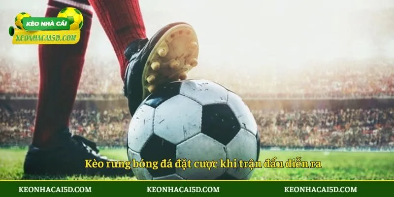 Kèo Rung Bóng Đá - 4 Kinh Nghiệm Vàng Bắt Kèo Bất Bại 2 Kèo rung bóng đá đặt cược khi trận đấu diễn ra