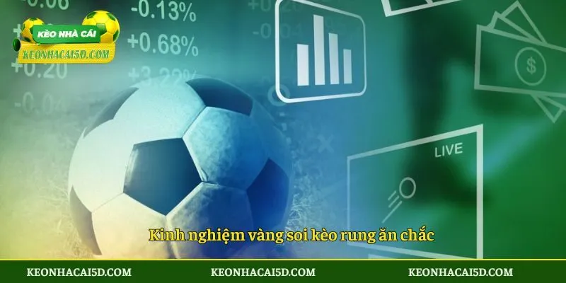 Kèo Rung Bóng Đá - 4 Kinh Nghiệm Vàng Bắt Kèo Bất Bại 4 Kinh nghiệm vàng soi kèo rung ăn chắc
