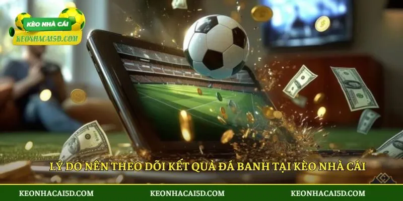 Kết quả bóng đá 32 Lý do nên theo dõi kết quả đá banh tại kèo nhà cái