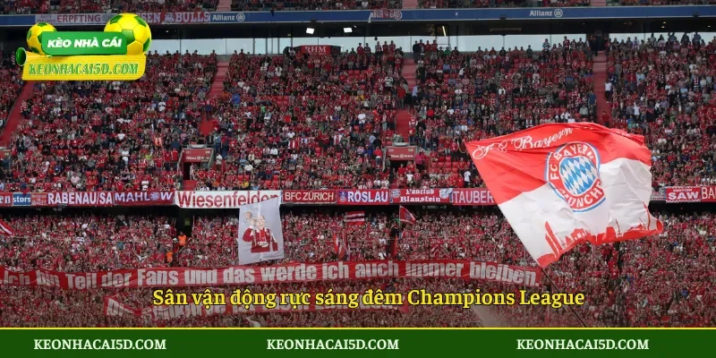 Sân vận động rực sáng đêm Champions League