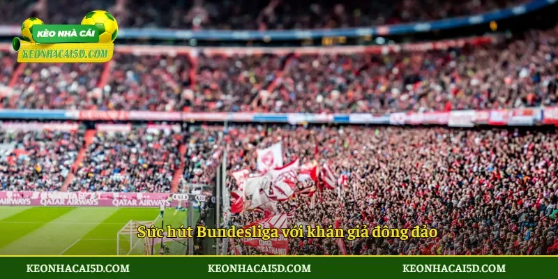 Sức hút Bundesliga với khán giả đông đảo