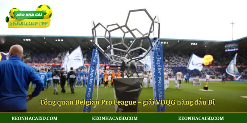 Belgian Pro League 4 Tổng quan Belgian Pro League – giải VĐQG hàng đầu Bỉ