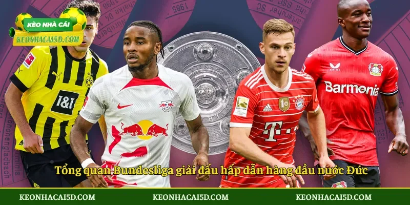 Tổng quan Bundesliga giải đấu hấp dẫn hàng đầu nước Đức