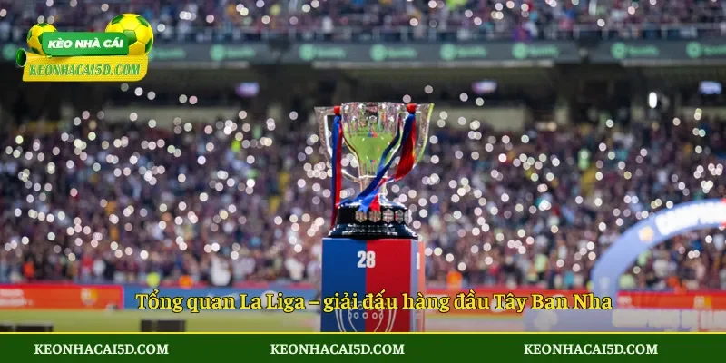 Tổng quan La Liga – giải đấu hàng đầu Tây Ban Nha