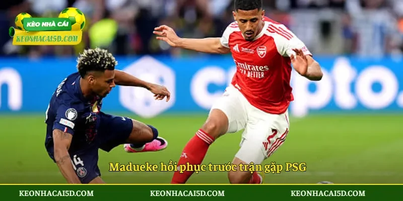 Madueke hồi phục trước trận gặp PSG