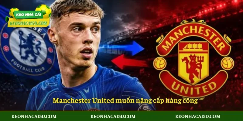 Manchester United muốn nâng cấp hàng công